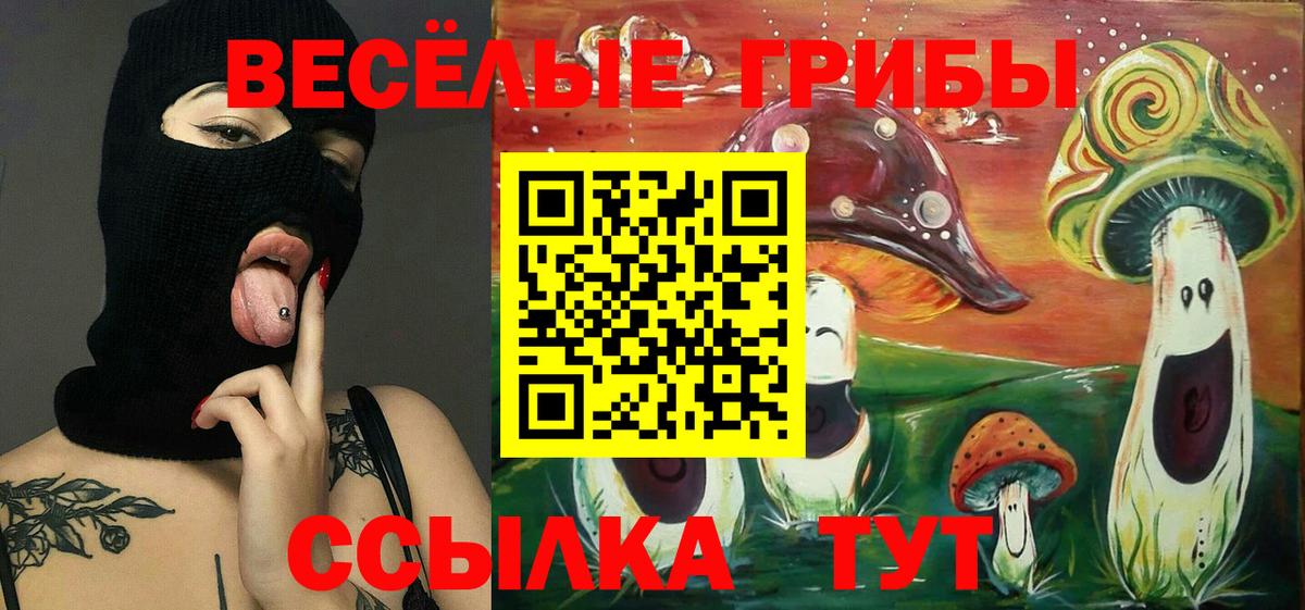 Галлюциногенные грибы Psilocybine cubensis Рославль